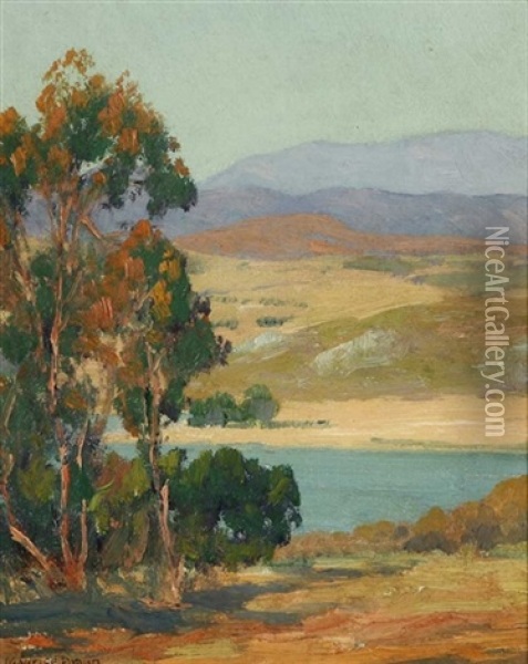 Lake In Eucalyptus Landscape (lake Hodges?) Oil Painting - Maurice Braun