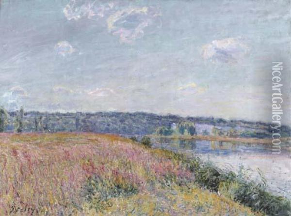 La Prairie Et Les Coteaux De Veneaux-nadon Oil Painting - Alfred Sisley