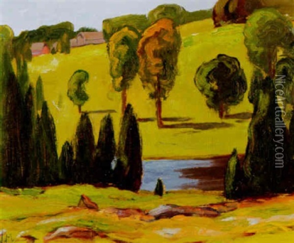 Gull River, Near Coboconk Oil Painting - James Edward Hervey MacDonald