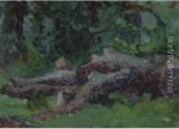 Landscape With Fallen Tree Oil Painting - Robert Polhill Bevan