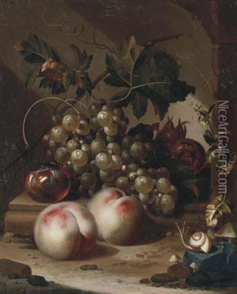 A Plum, Grapes On The Vine And Medlars On A Ledge With Peaches, Asnail In The Foreground Oil Painting - Willem Grasdorp