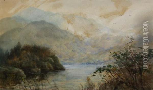 A Corner, Middle Lake, Killarney Oil Painting - Alexander Williams