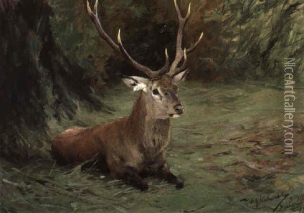 Ruhender Hirsch Oil Painting - Wilhelm Friedrich Kuhnert
