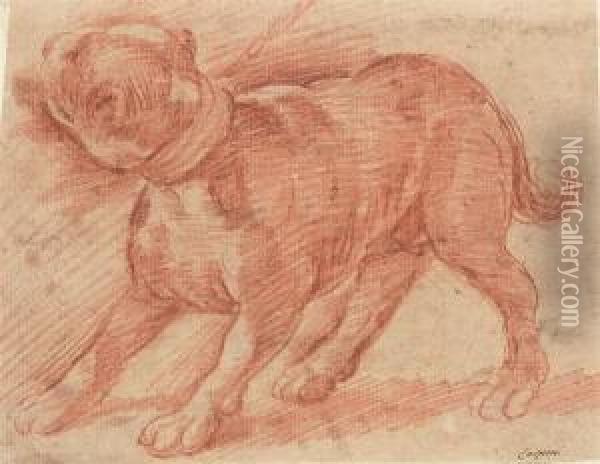 A Dog On A Leash Oil Painting - Giulio Carpione
