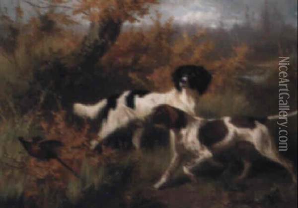 Two Spaniels Putting A Pheasant Oil Painting - Conradyn Cunaeus