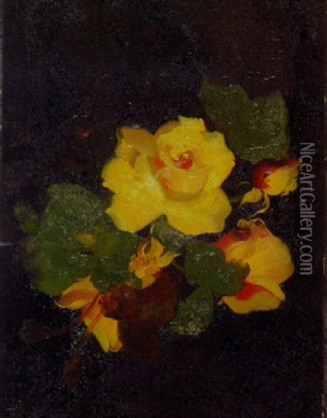 Yellow Roses Oil Painting - Stuart James Park