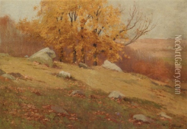 Sunny Hill In Autumn Oil Painting - William Charles Stevens