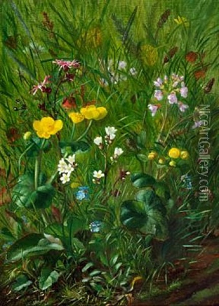 Forest Floor With Summer Flowers Oil Painting - Alfrida Baadsgaard