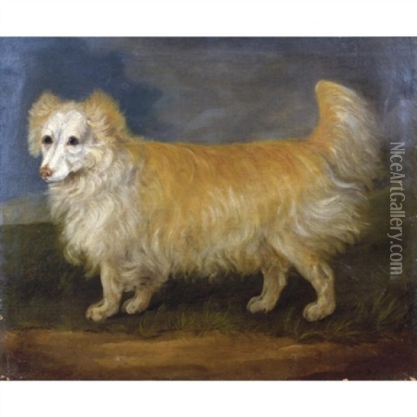 A Favourite Dog Oil Painting - John Francis Sartorius