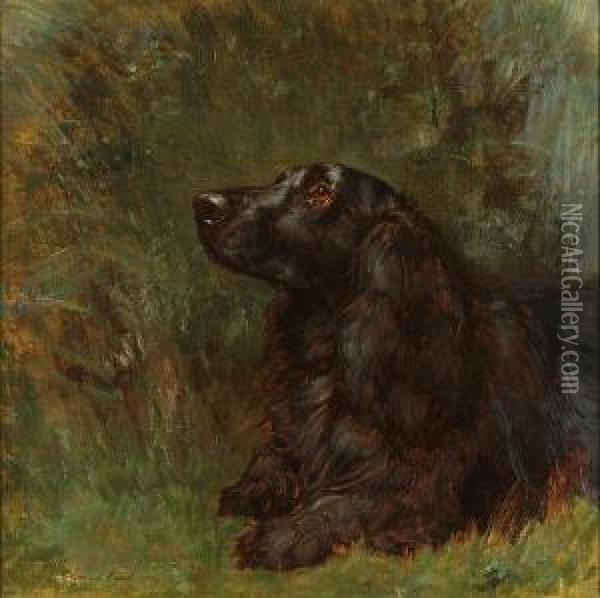 A Field Spaniel Oil Painting - Maud Earl