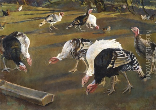 Turkeys Oil Painting - Adolf Fenyes