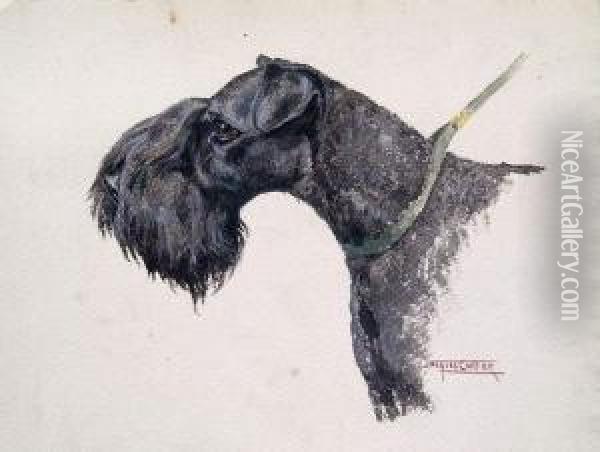 Tete De Scottisch-terrier Oil Painting - Eugene Cartier