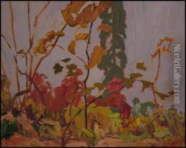 Autumn Colour, Algoma Oil Painting - James Edward Hervey MacDonald