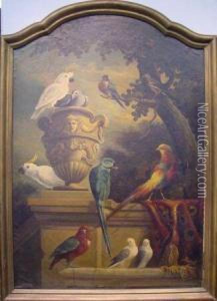 Exotic Birds And Urn In A Garden Oil Painting - Jakob Bogdani Eperjes C