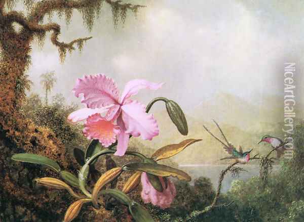 Orchids And Hummingbirds4 Oil Painting - Martin Johnson Heade