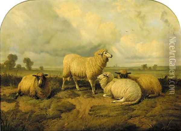 Sheep in a meadow Oil Painting - Thomas Sidney Cooper