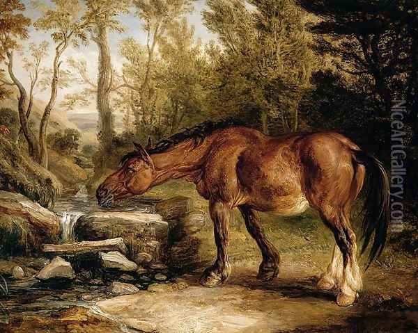 A Horse Drinking at a Stream 1838 Oil Painting - James Ward