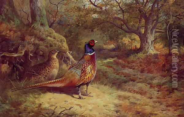 On the Alert Oil Painting - Archibald Thorburn