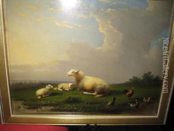 Sheep Resting In A Landscape With Rooster, Chicken And Ducks At Water's Edge Oil Painting - Franz van Severdonck