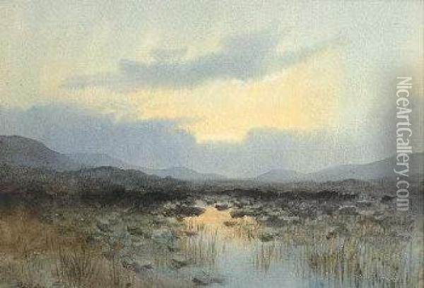 A Peat Bog At Dusk Oil Painting - William Percy French