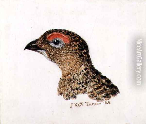 Head of Grouse, from The Farnley Book of Birds, c.1816 Oil Painting - Joseph Mallord William Turner