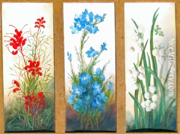 Australian Flowers (triptych) Oil Painting - May Creeth