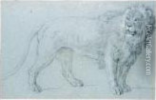 Study Of A Lion Oil Painting - Jean-Baptiste Oudry