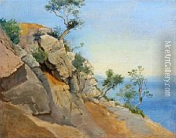 View From Capri Oil Painting - Harald-Adof-Nikolaj Jerichau