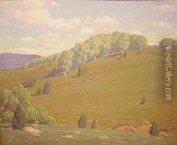 Rolling Hills Oil Painting - Andrew Thomas Schwartz