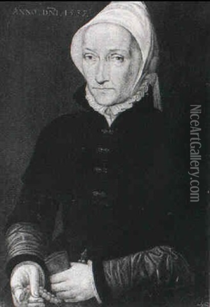 Portrait Of A Lady Oil Painting - Bartholomaeus Bruyn the Elder