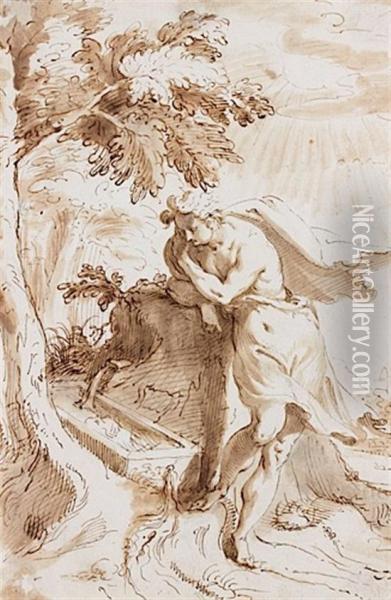 Narcisse A La Fontaine Oil Painting - Peter De Jode