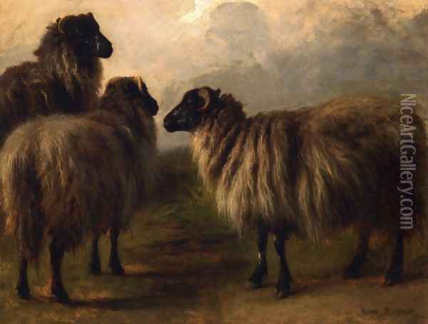 Three Wooly Sheep Oil Painting - Rosa Bonheur