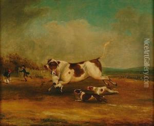 Bull Baiting Oil Painting - Samuel Jun Alken