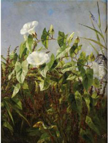 Morning Glories Oil Painting - Anthonie, Anthonore Christensen