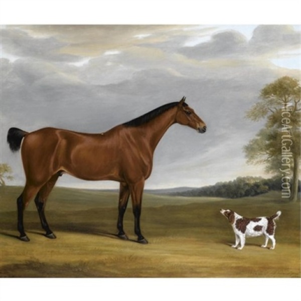 A Bay Hunter And Spaniel Before Goodwood Park Oil Painting - William Nedham