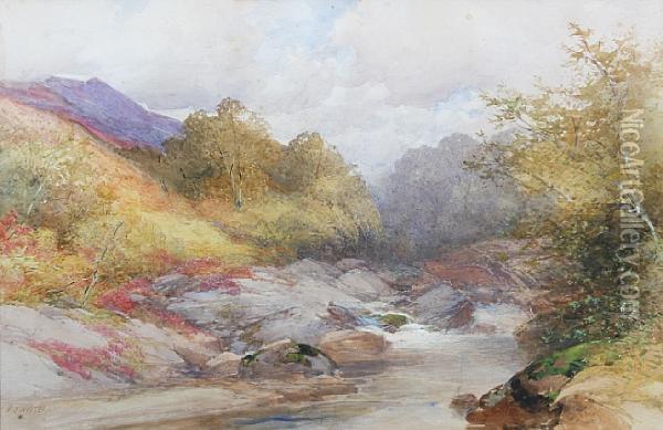 A Dartmoor River Landscape Oil Painting - Frederick John Widgery
