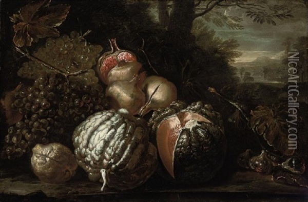 Grapes, A Lemon, Pomegranates, Melons And Figs On A Mossy Bank, A Landscape Beyond Oil Painting - Michelangelo di Campidoglio