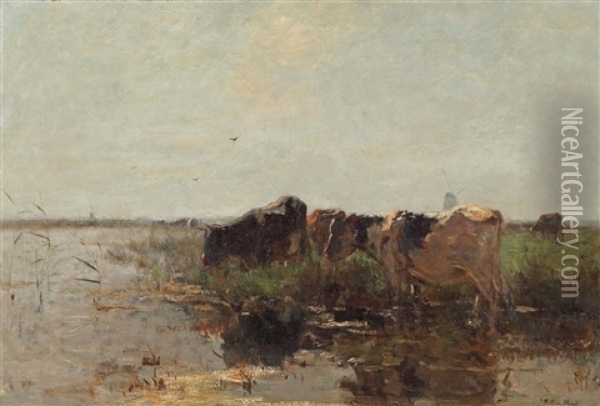 Cows Grazing Near A Stream Oil Painting - Willem Maris