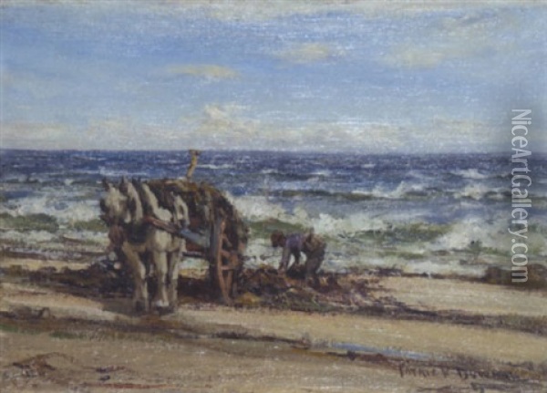 Tangsammler Am Strand Oil Painting - Patrick Downie