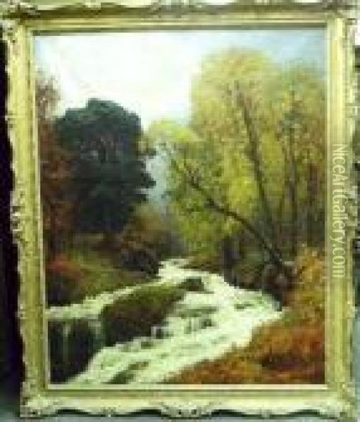 Woodland Stream, Autumn Oil Painting - Alexander Brownlie Docharty