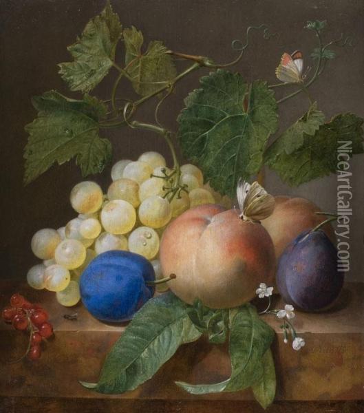 Stilleben Mit Fruchten Und Schmetterling Oil Painting - Jan Frans Eliaerts