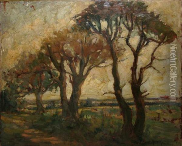 Peisaj La Malu Oil Painting - Marin H. Georgescu