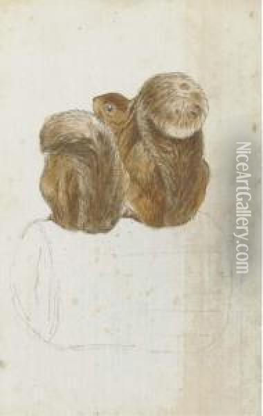 Two Squirrels On A Log Seen From Behind Oil Painting - Helen Beatrix Potter