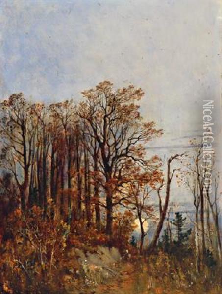 Herbstmotiv, N.osterreich Oil Painting - Theodor von Hormann
