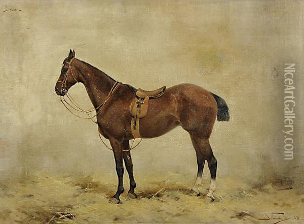 Cavallo Da Corsa Oil Painting - Alfredo Tominz