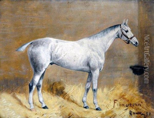 Franciscan, Study Of A Grey Horse In A Stable Interior Oil Painting - George Paice