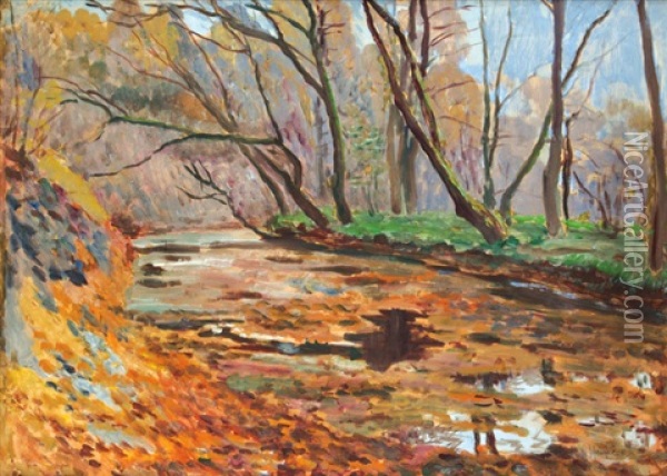 Podzimni Listi Na Rece Oil Painting - Antonin Hudecek