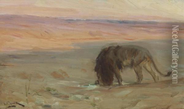 Lion Drinking Oil Painting - Henry Ossawa Tanner