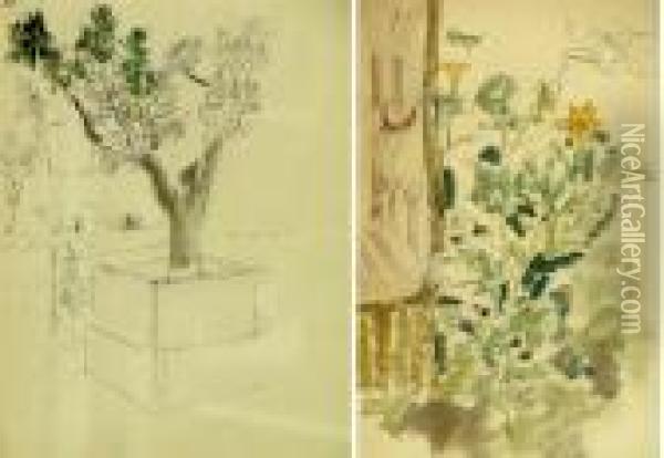 Trois Etudes De Plantes Oil Painting - Chas-Laborde