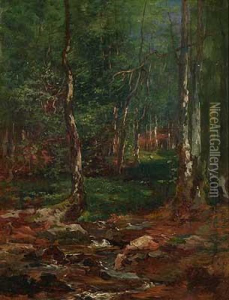 Sonnendurchfluteter Wald Mit Bachlauf Oil Painting - Lorenz Maas
